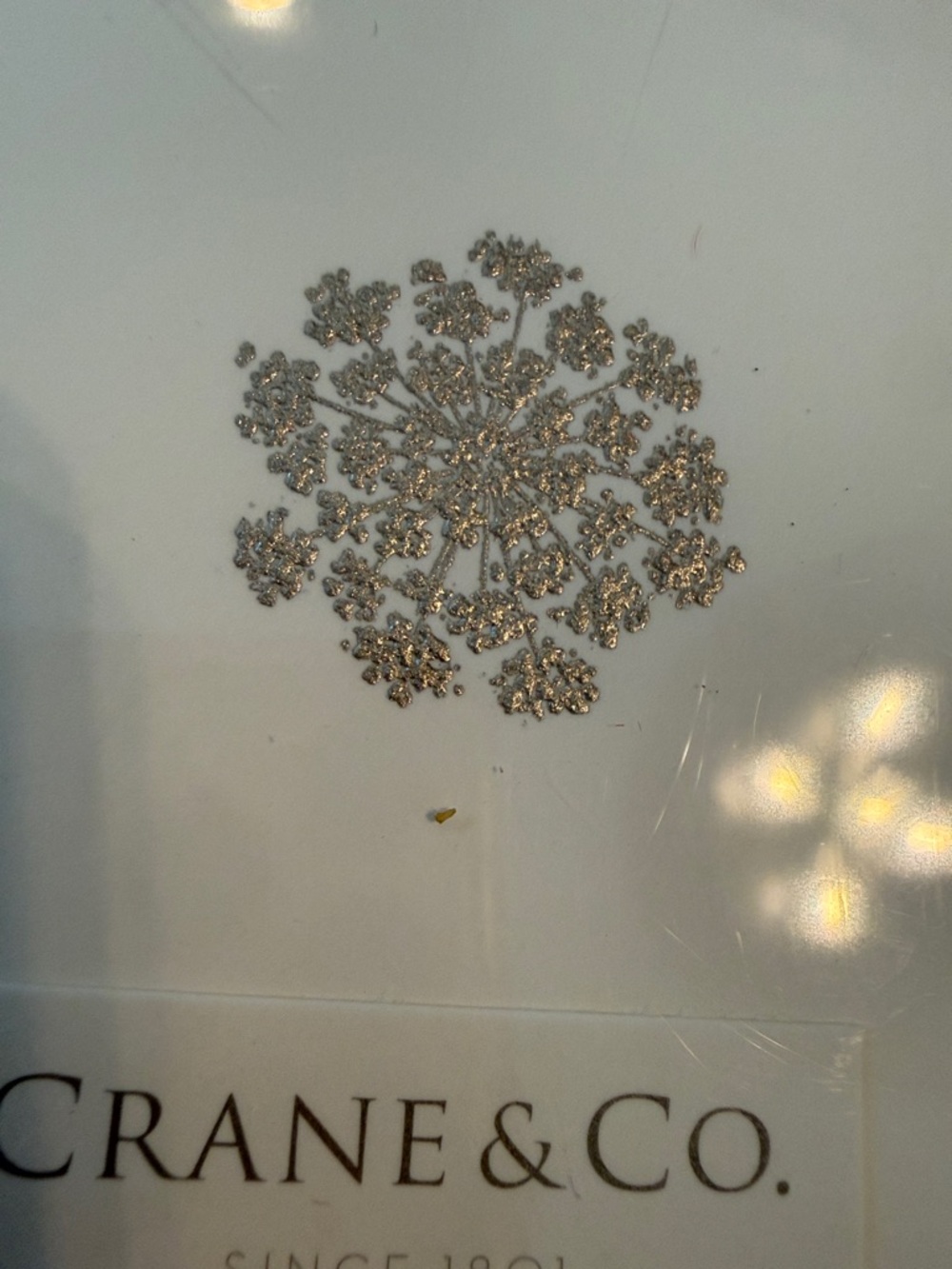 NIB CRANE & Co Stationary Silver Queen Anne Lace Design Notecards 15 w/ envelope - Picture 2 of 5